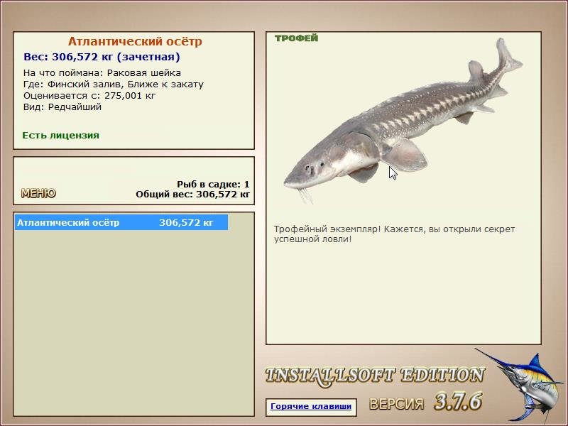Ближе к закату 