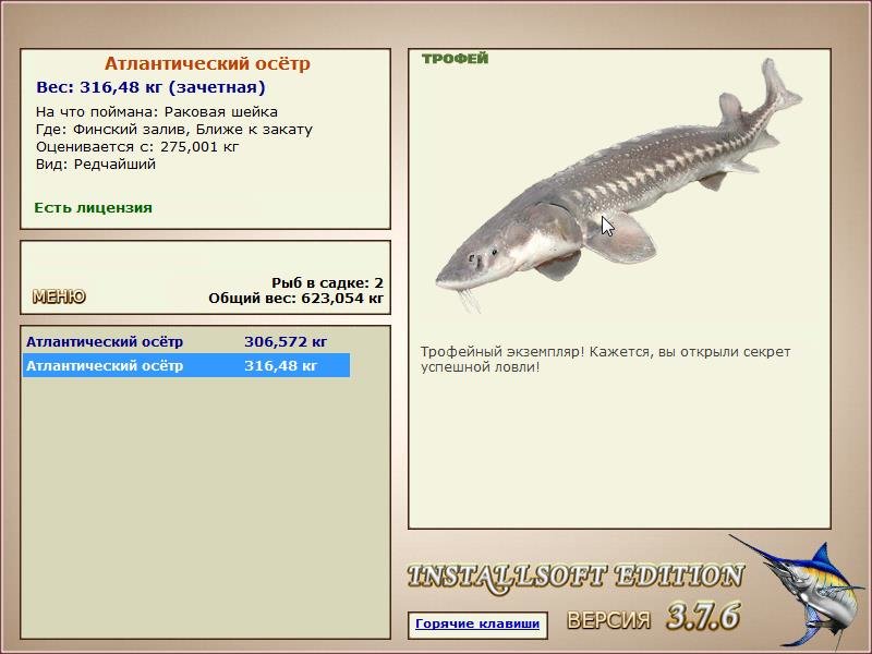 Ближе к закату 
