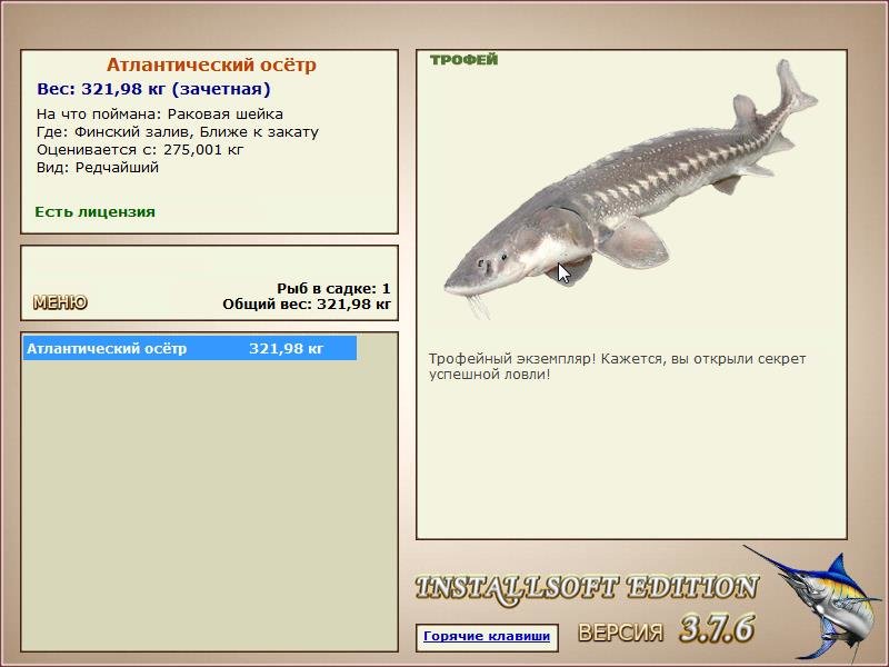 Ближе к закату 