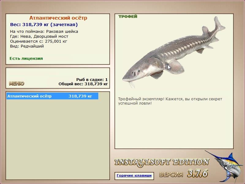 Дворцовый мост 