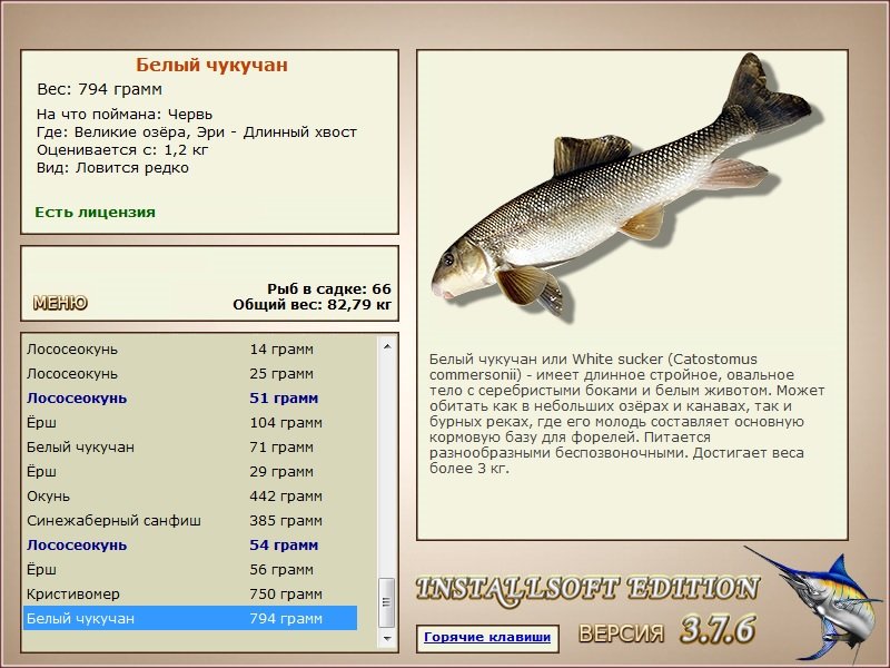 турниры • РУССКАЯ РЫБАЛКА