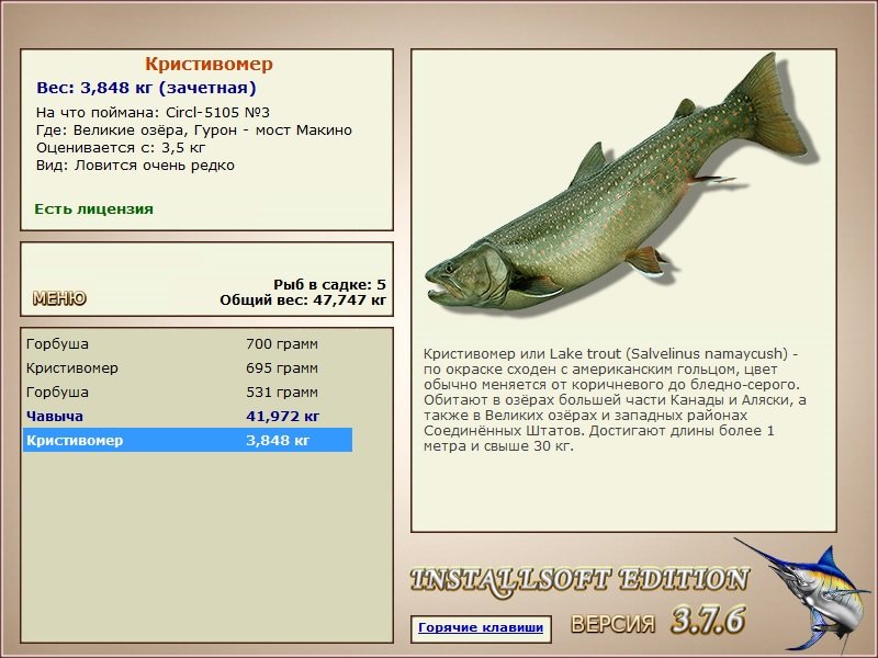 турниры • РУССКАЯ РЫБАЛКА