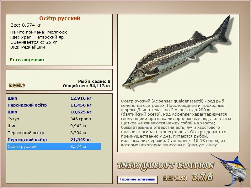 турниры • РУССКАЯ РЫБАЛКА