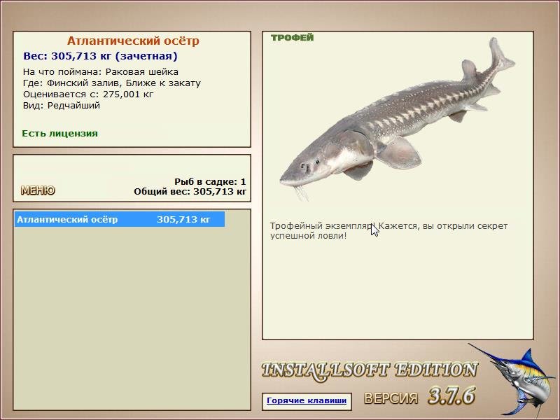 Ближе к закату 