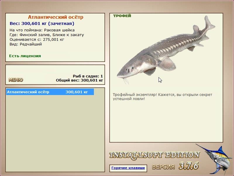 Ближе к закату 