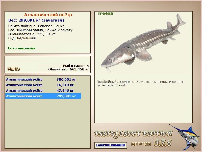 Ближе к закату 