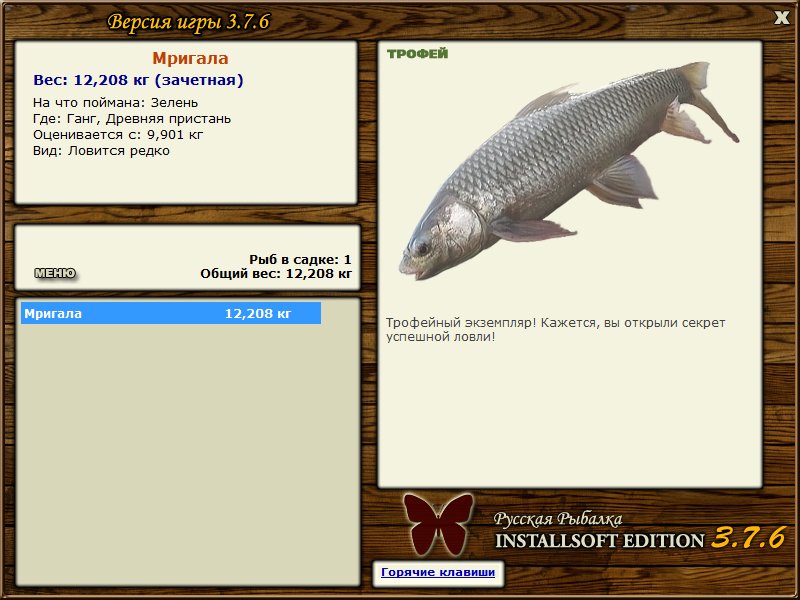 турниры • РУССКАЯ РЫБАЛКА