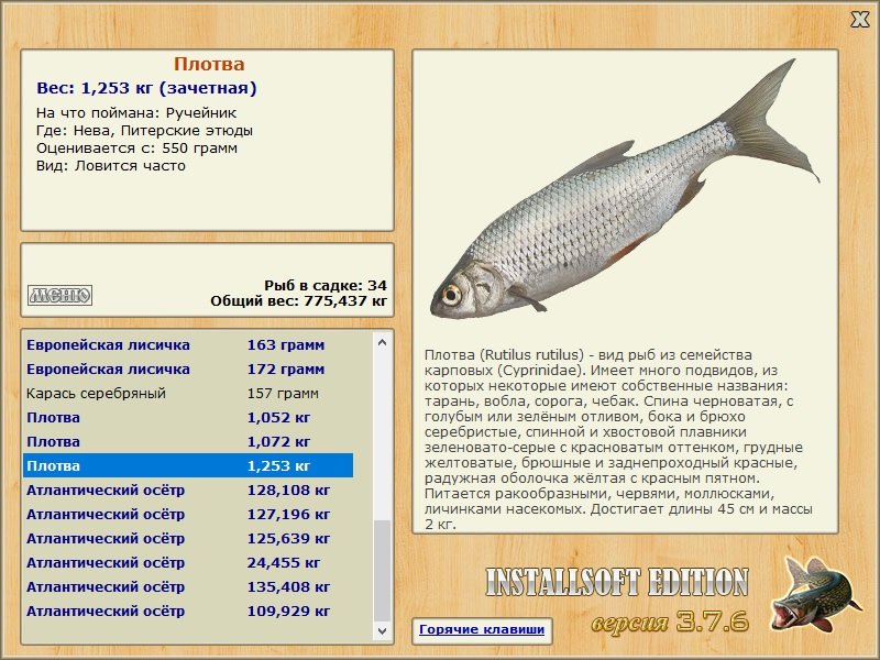Питерские этюды 