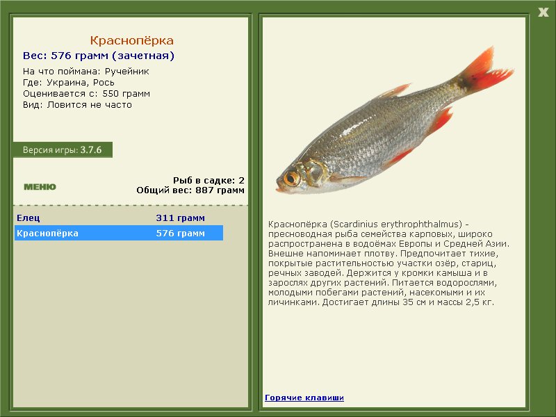 Рось 