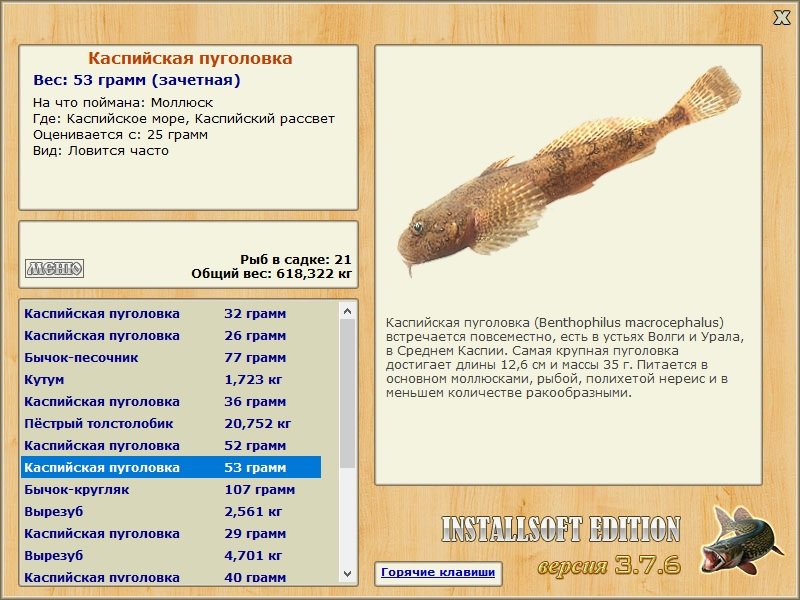Каспийский рассвет 