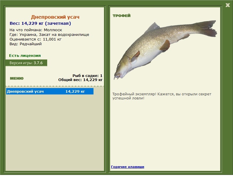Днепровский усач 