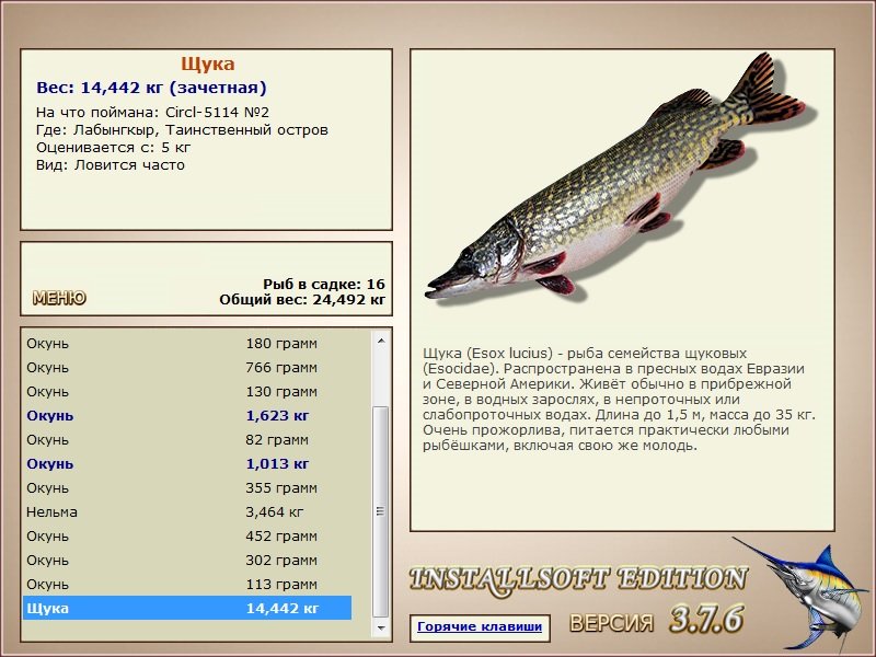 турниры • РУССКАЯ РЫБАЛКА