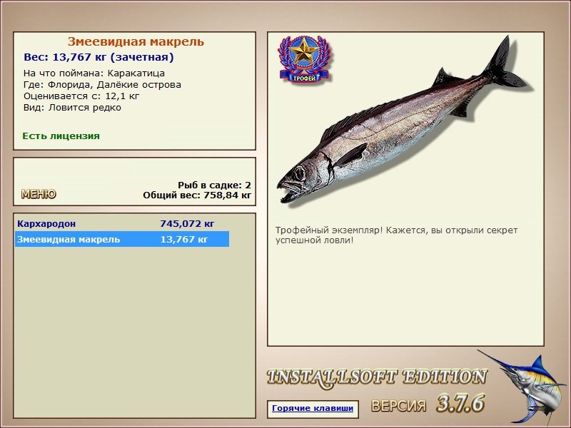 Каракатица 