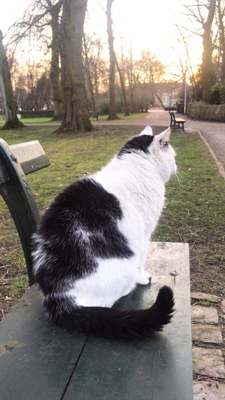 Живой уголок