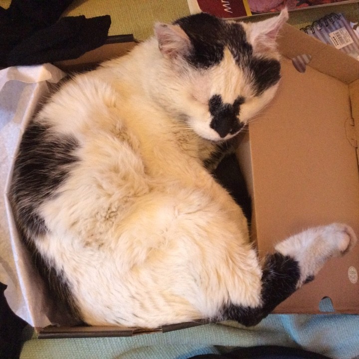 Живой уголок