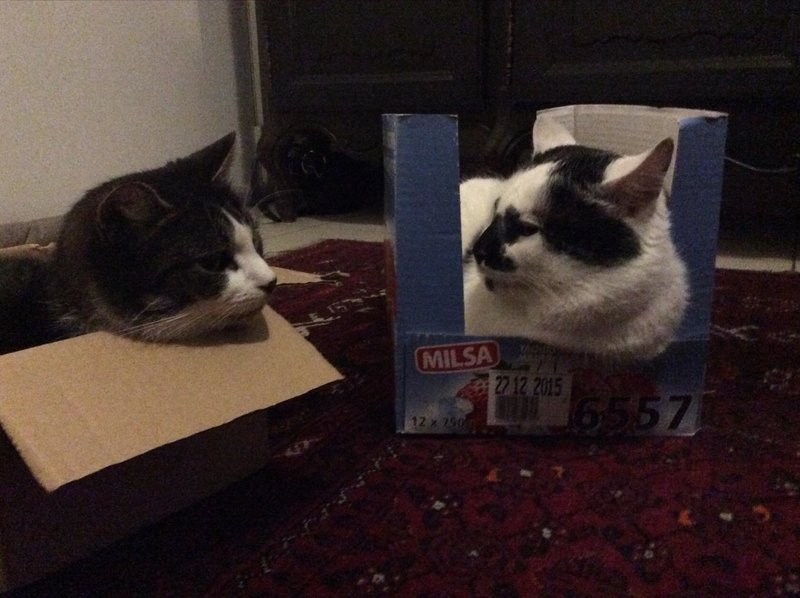 Живой уголок