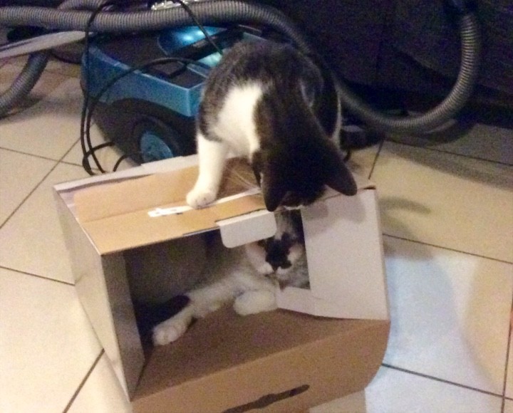 Живой уголок