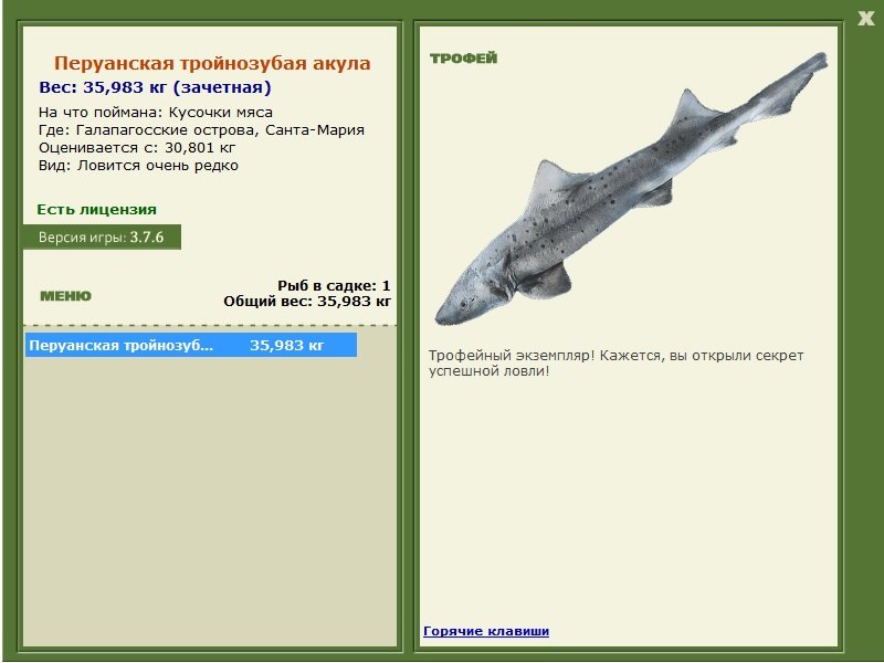 Мария • Галапагосские острова • РУССКАЯ РЫБАЛКА