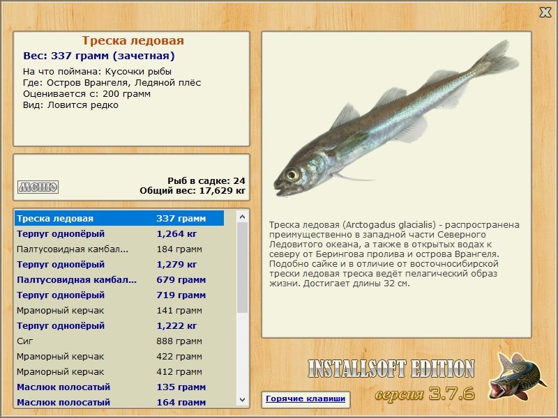 Ледяной плёс 