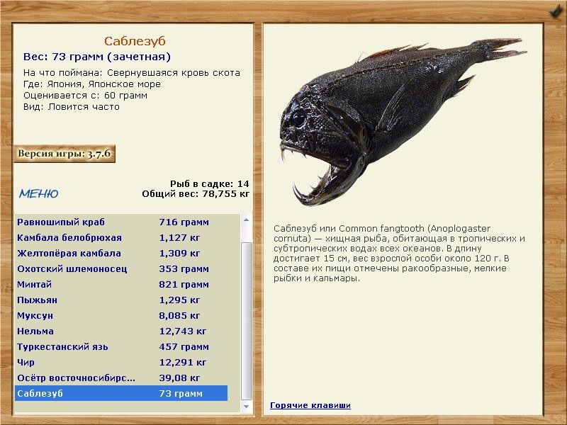 Японское море 
