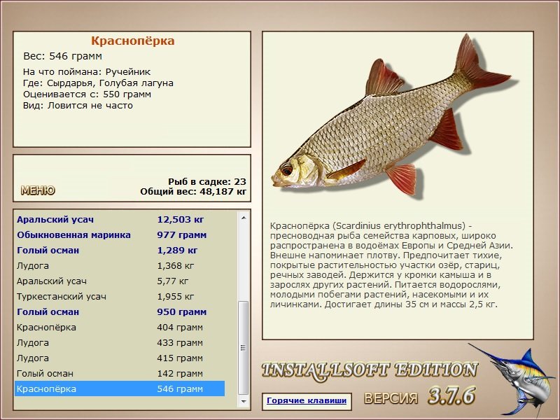 турниры • РУССКАЯ РЫБАЛКА