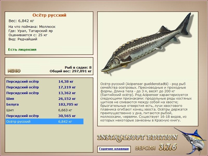 турниры • РУССКАЯ РЫБАЛКА