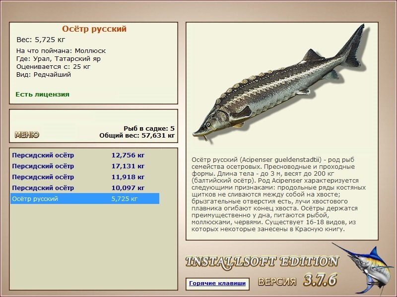 турниры • РУССКАЯ РЫБАЛКА