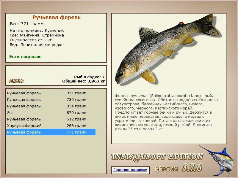 турниры • РУССКАЯ РЫБАЛКА