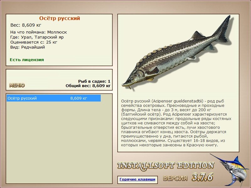 турниры • РУССКАЯ РЫБАЛКА