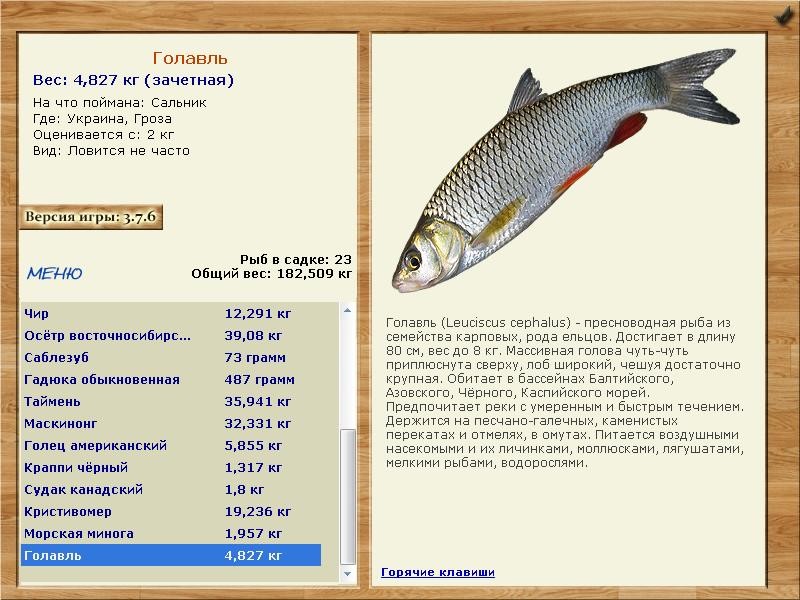 Гроза 