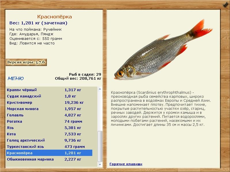 Пяндж 