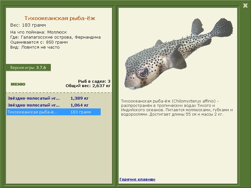 Фернандина 