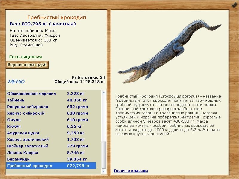 Фицрой 