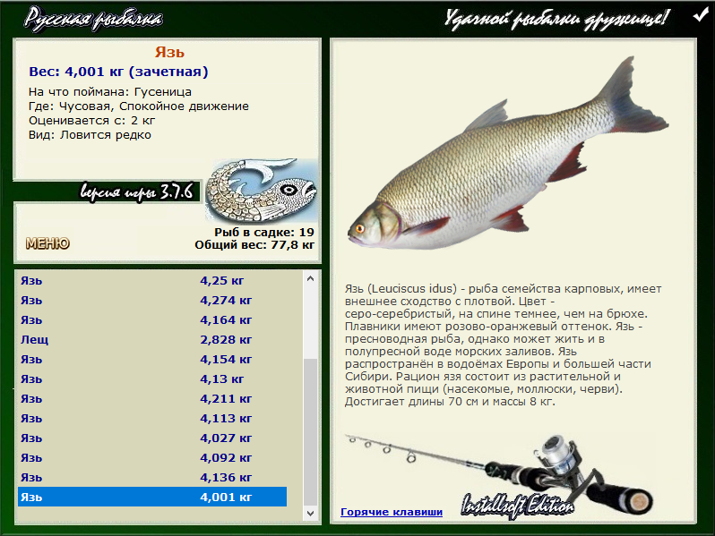 турниры • РУССКАЯ РЫБАЛКА