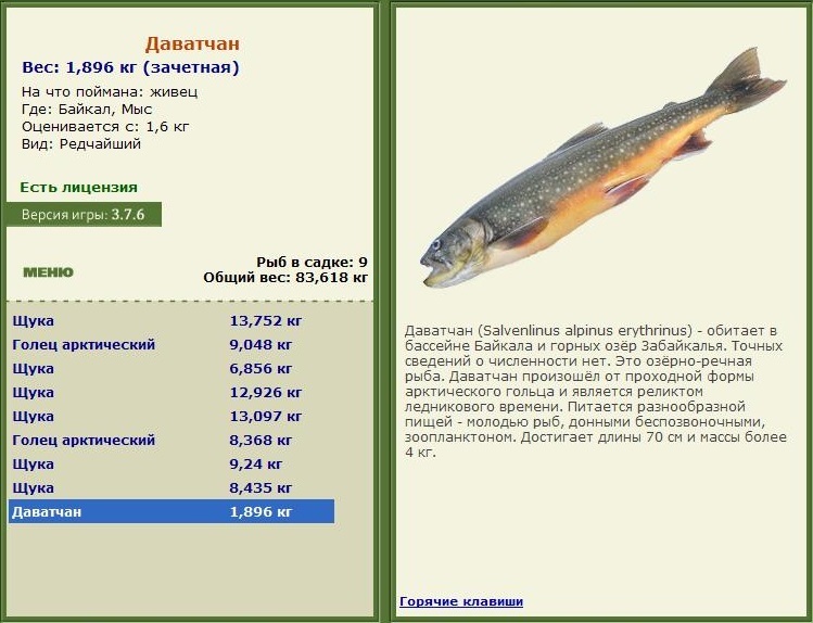 турниры • РУССКАЯ РЫБАЛКА