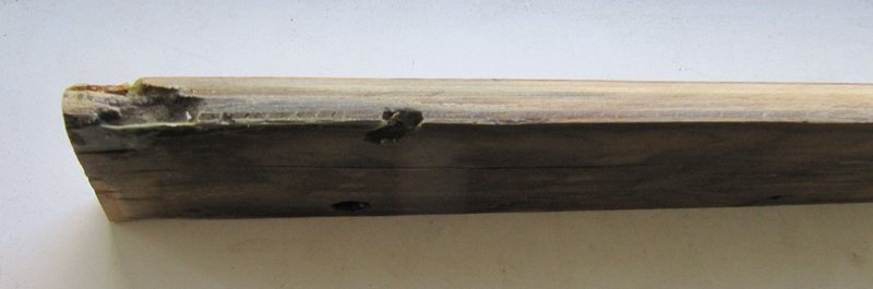 Ремонт приемников