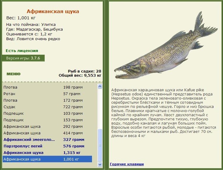 турниры • РУССКАЯ РЫБАЛКА