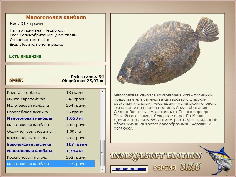 Две скалы 