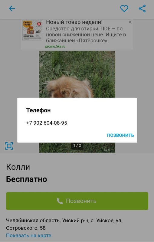 Изображение