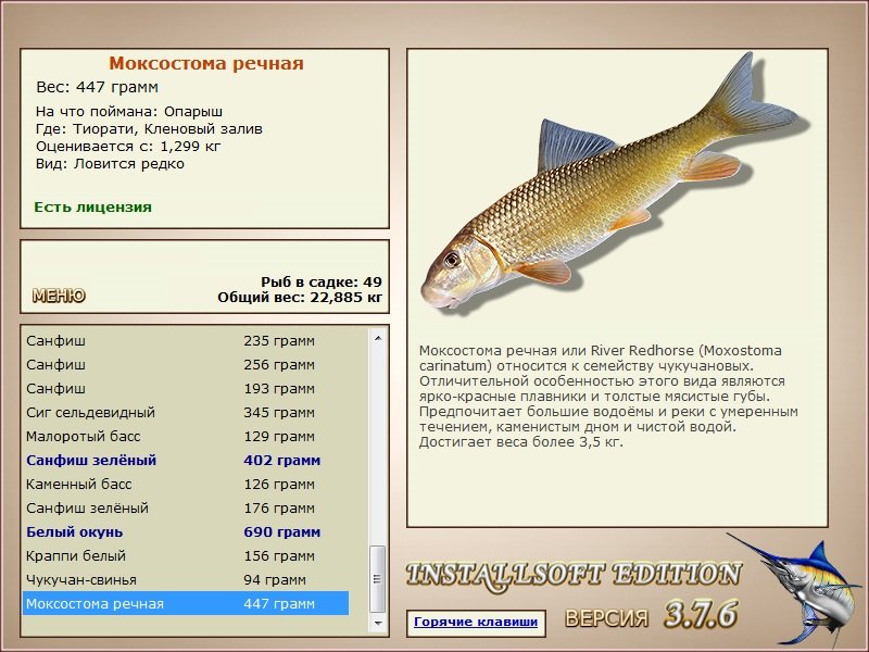 Кленовый залив 