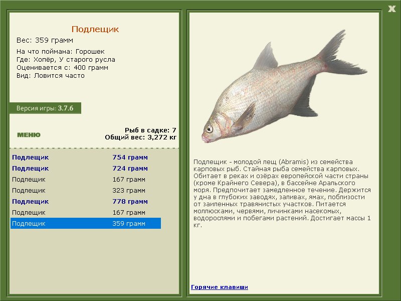 У старого русла 
