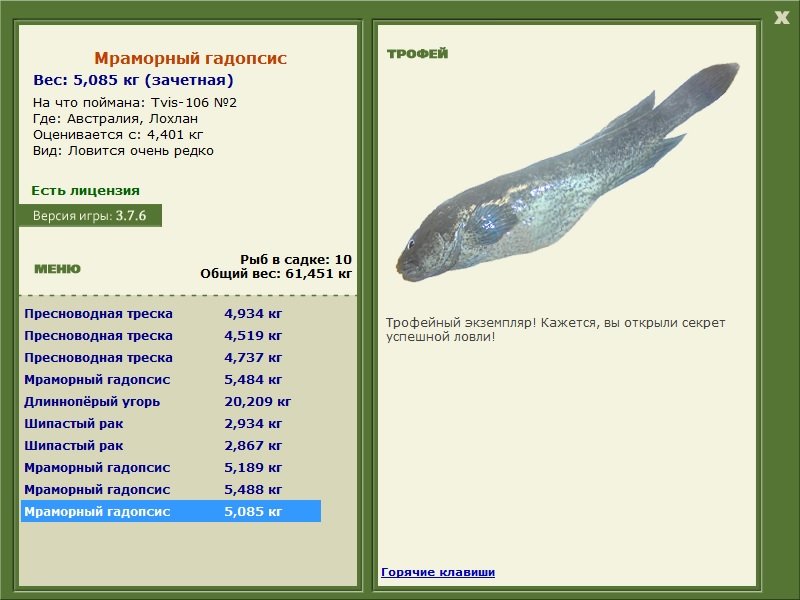 Мраморный гадопсис 