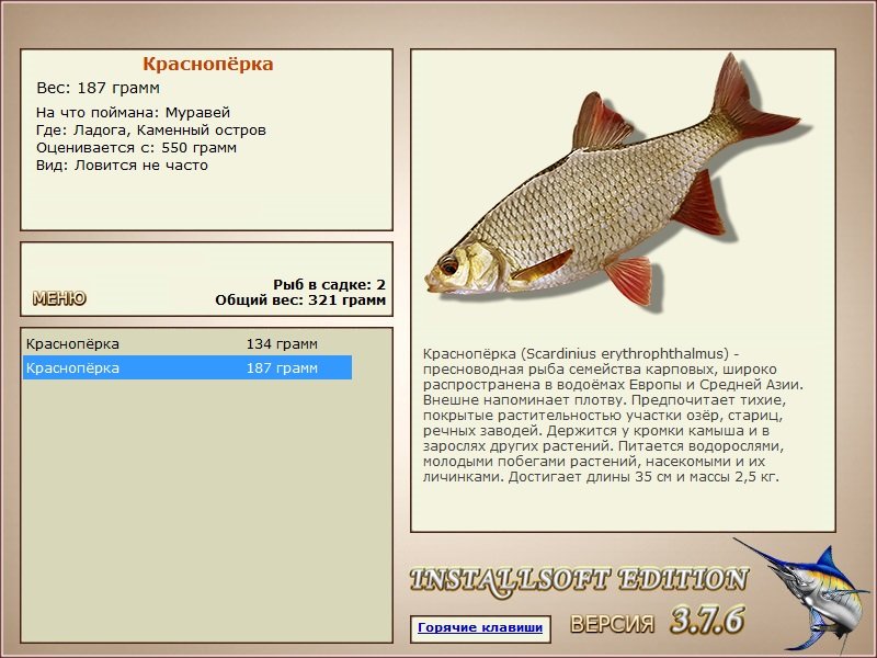 Каменный остров 