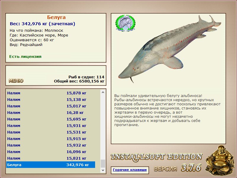 Море 