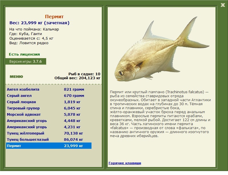 турниры • РУССКАЯ РЫБАЛКА