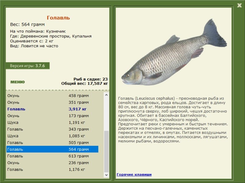 Купальня 