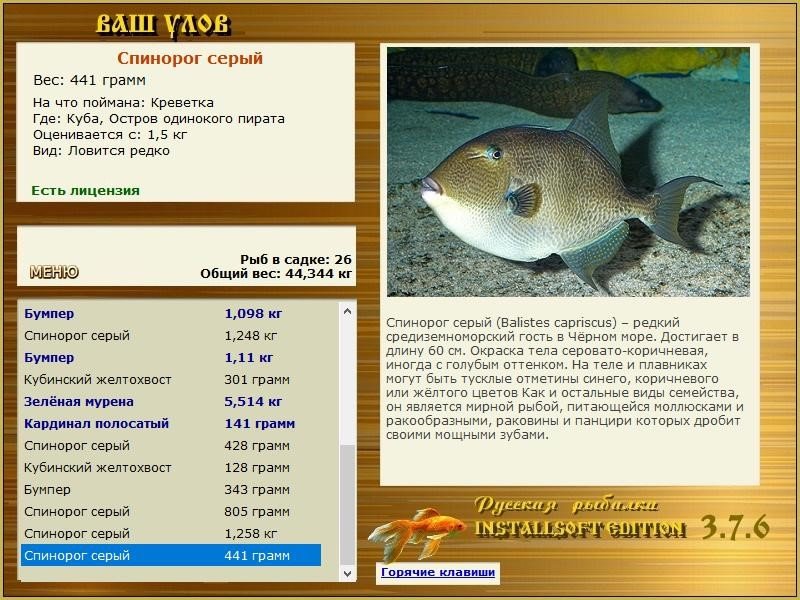 РУССКАЯ РЫБАЛКА Installsoft Edition 