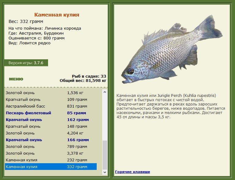 Бурдекин 