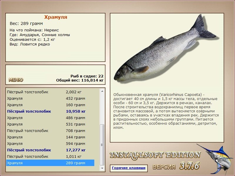 турниры • РУССКАЯ РЫБАЛКА
