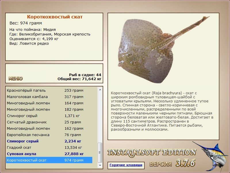 турниры • РУССКАЯ РЫБАЛКА